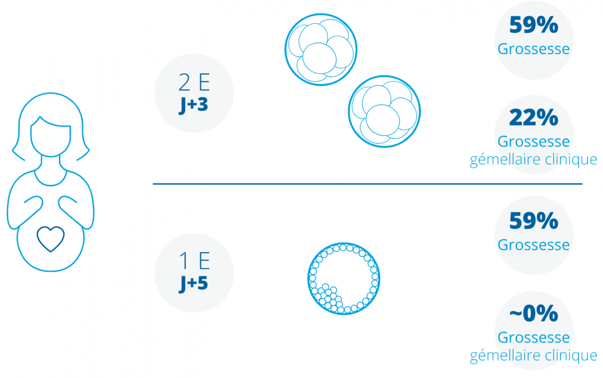 Transfert Embryon Congelé J5 Taux De Réussite Qu'est-ce qu'un blastocyste ou transfert embryonnaire à J5 ? | Eugin